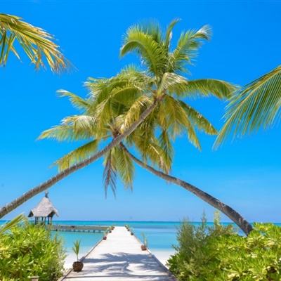 安博体育的最新版本app下载