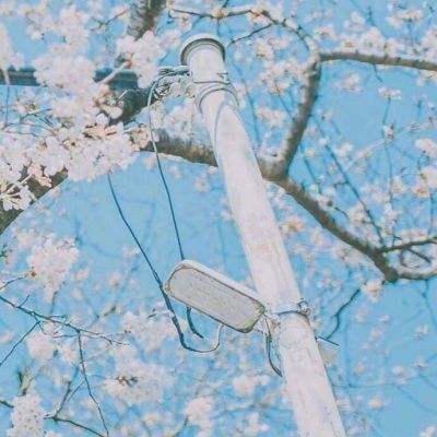 买球的app排行榜前十名推荐下载手机版