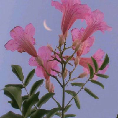 中欧官方体育app下载